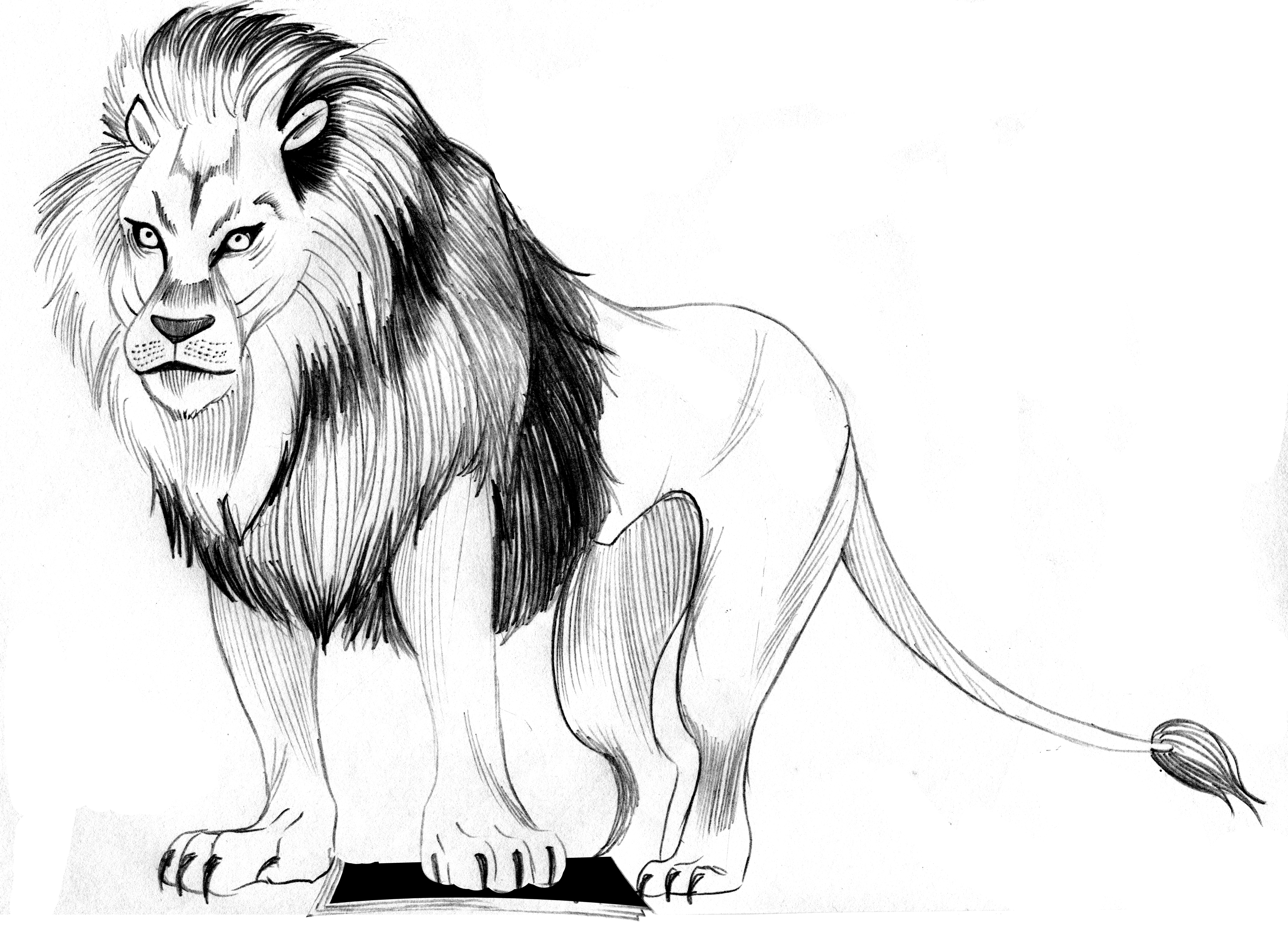 Marco Otherworld creature Marco